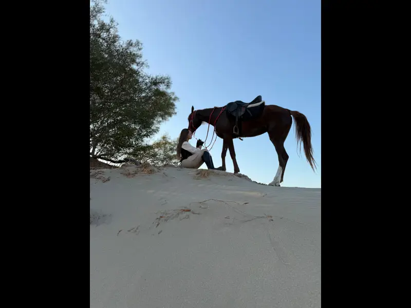 PATARA AT TURU GÜNBATIMI - Görsel 7