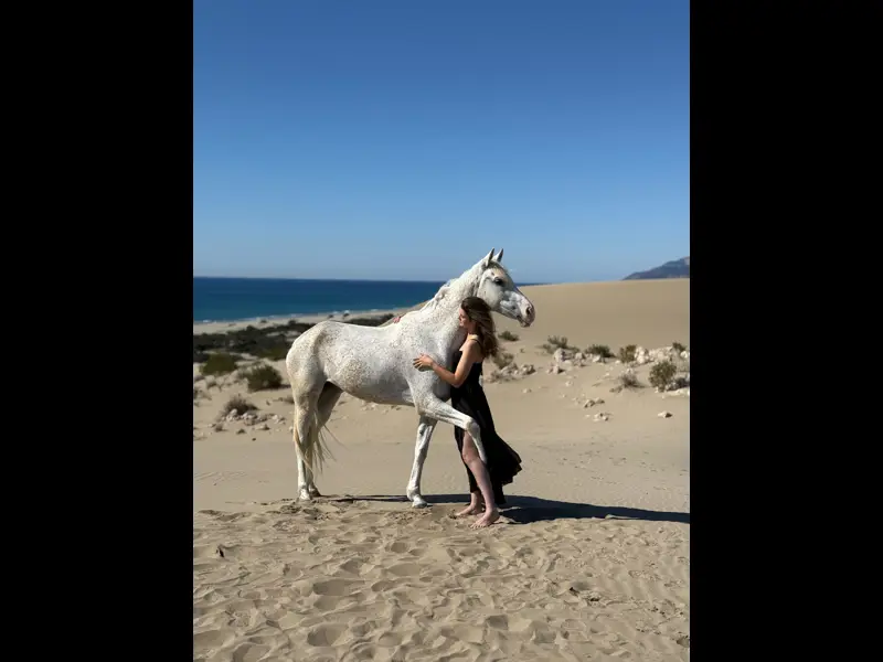PATARA AT TURU - Görsel 31
